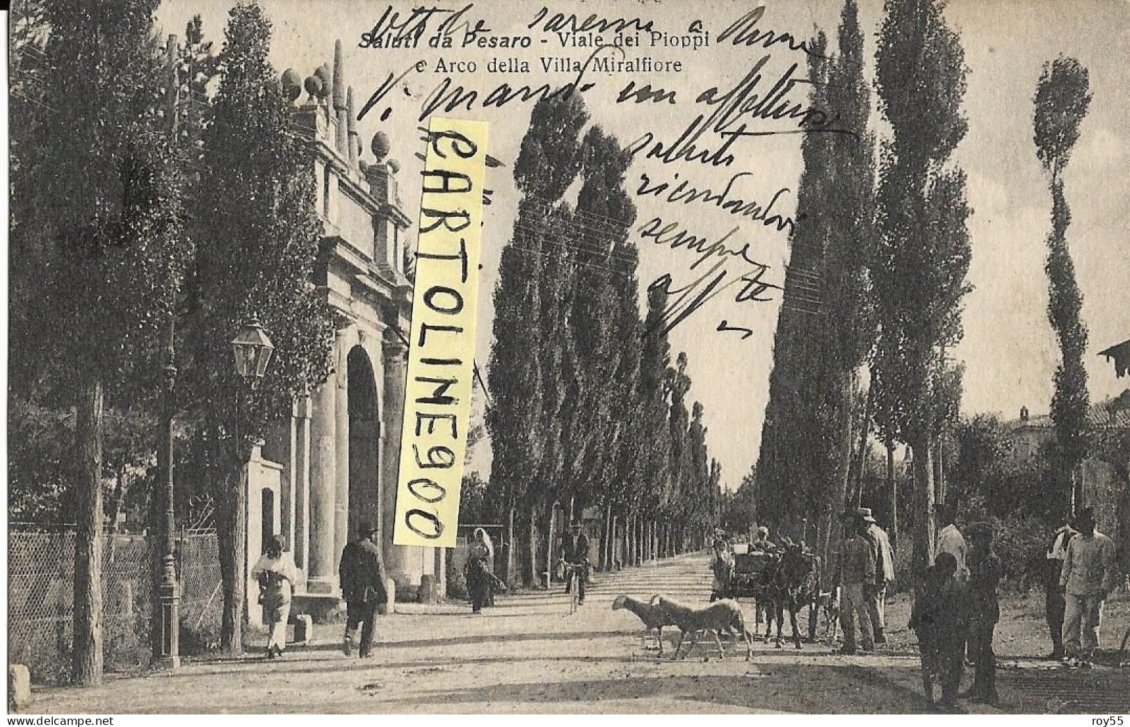 Marche-pesaro-saluti Da Pesaro Viale Dei Pioppi E Arco De Villa Miralfiore Animatissima Veduta Primi 900 (picc./v.retro) - Pesaro