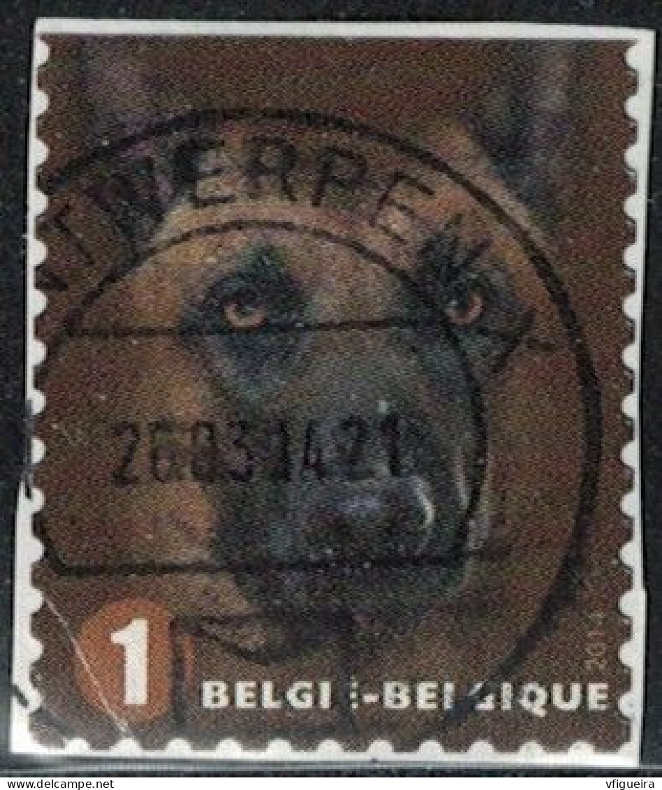 Belgique 2014 Oblitéré Used Canis Lupus Familiaris Chien Malinois Y&T BE 4365 SU - Gebraucht