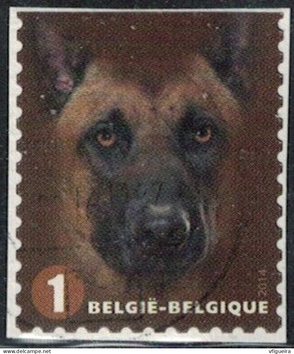Belgique 2014 Oblitéré Used Canis Lupus Familiaris Chien Malinois Y&T BE 4365 SU - Oblitérés