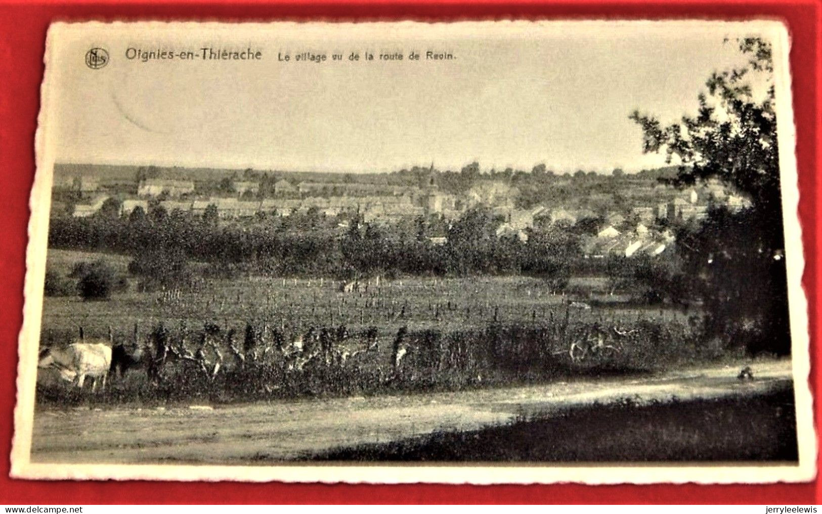 OIGNIES EN THIERACHE  -  Le Village Vu De La Route De Revin  - - Viroinval