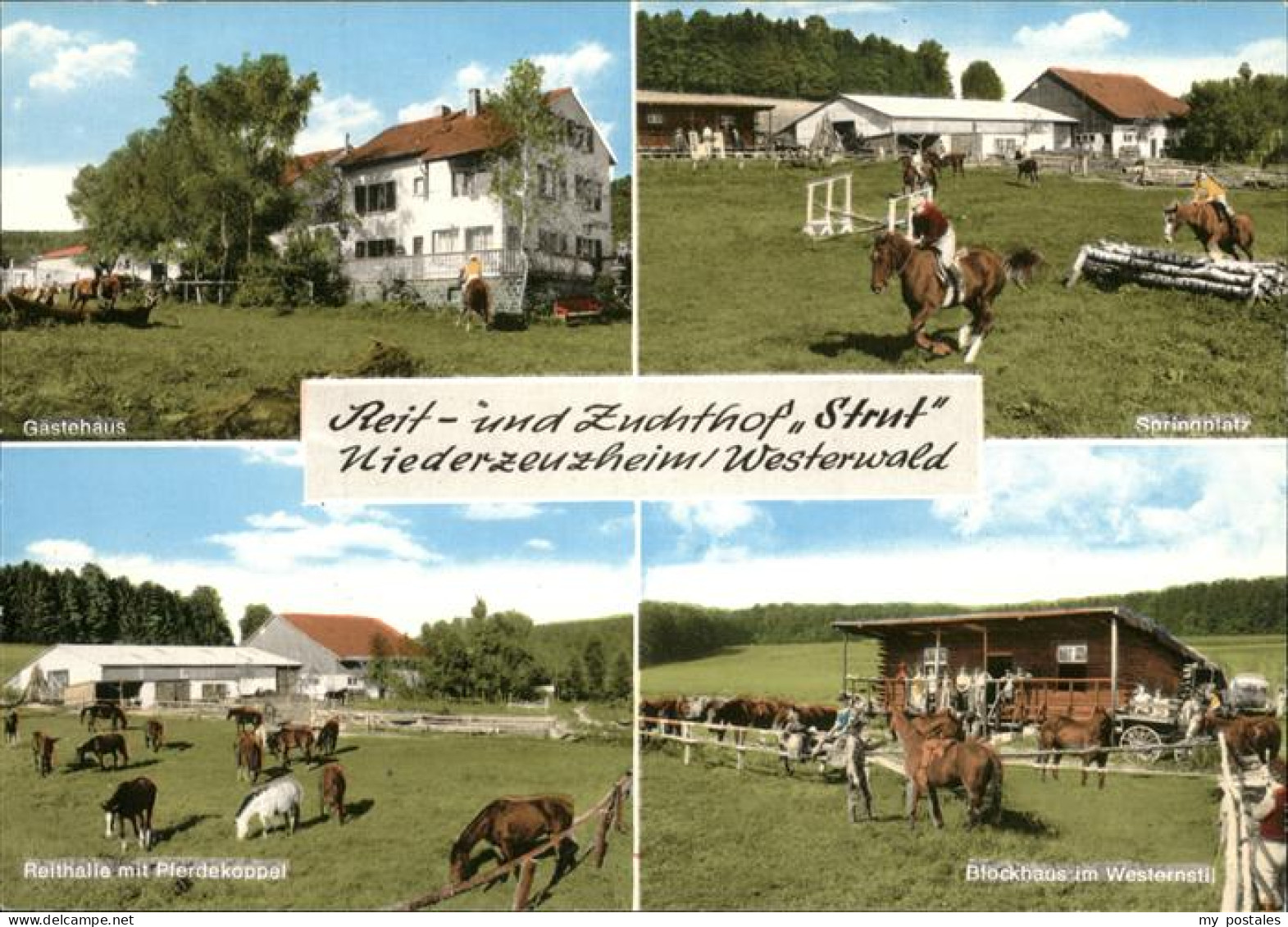 41273173 Niederzeuzheim Reithof Zuchthof Strut Hadamar - Hadamar