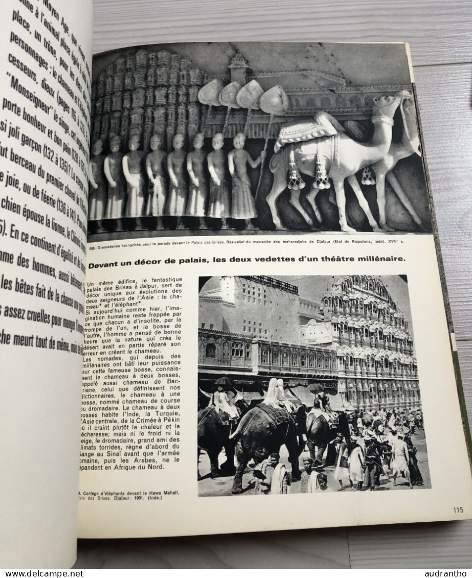 L'HOMME ET L'ANIMAL J. Boudet 100 000 ans de vie commune éditions du pont royal 1962 photos