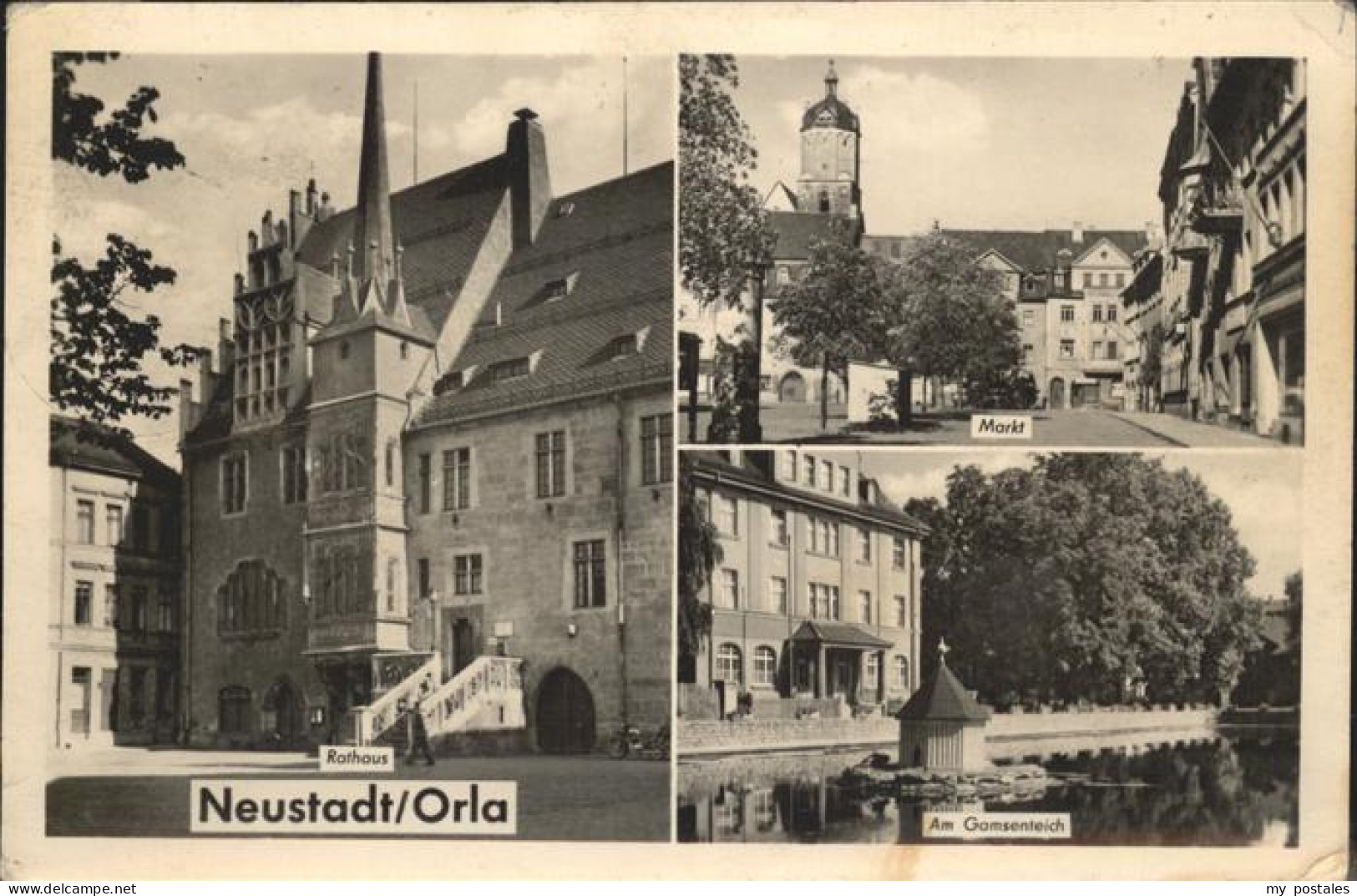 41270798 Neustadt Orla Rathaus Gamsenteich Markt Neustadt - Neustadt / Orla