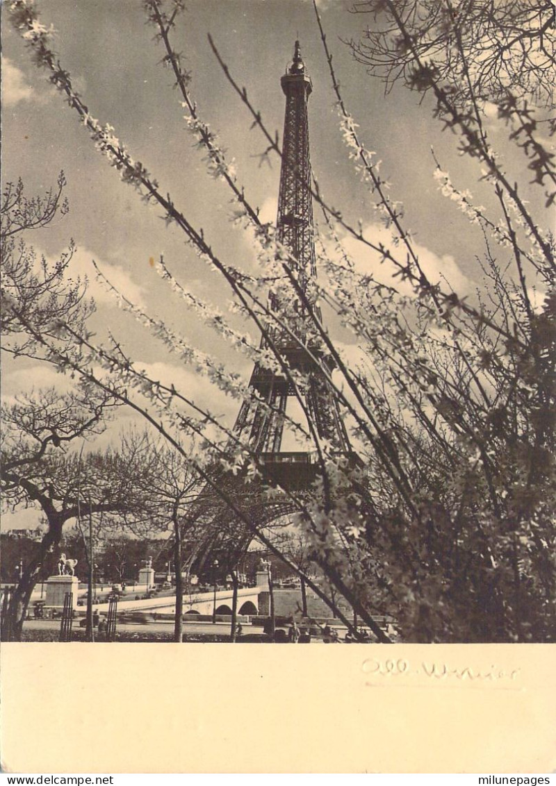 Belle Carte Noir Et Blanc Du Photographe Albert Monier Paris La Tour Eiffel N°21 Circulé 1953 - Monier