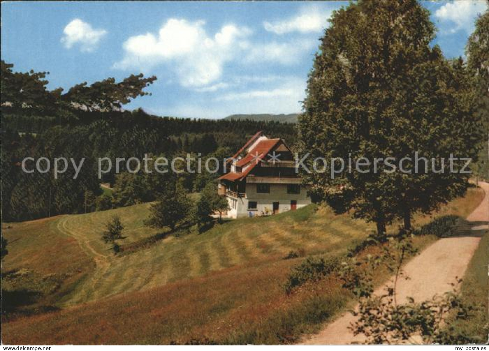 71859517 Holzschlag Bonndorf Pension Waldfrieden Bonndorf - Bonndorf