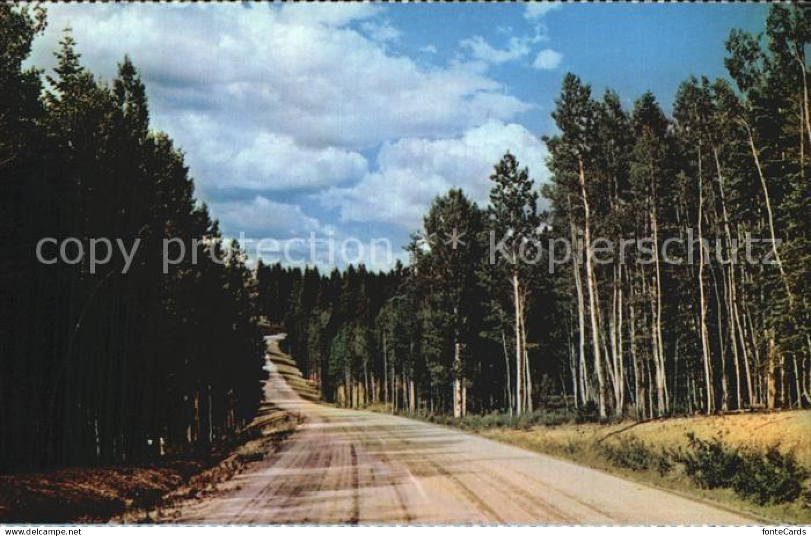 72582731 Arizona_US-State Kaibab National Forest - Andere & Zonder Classificatie