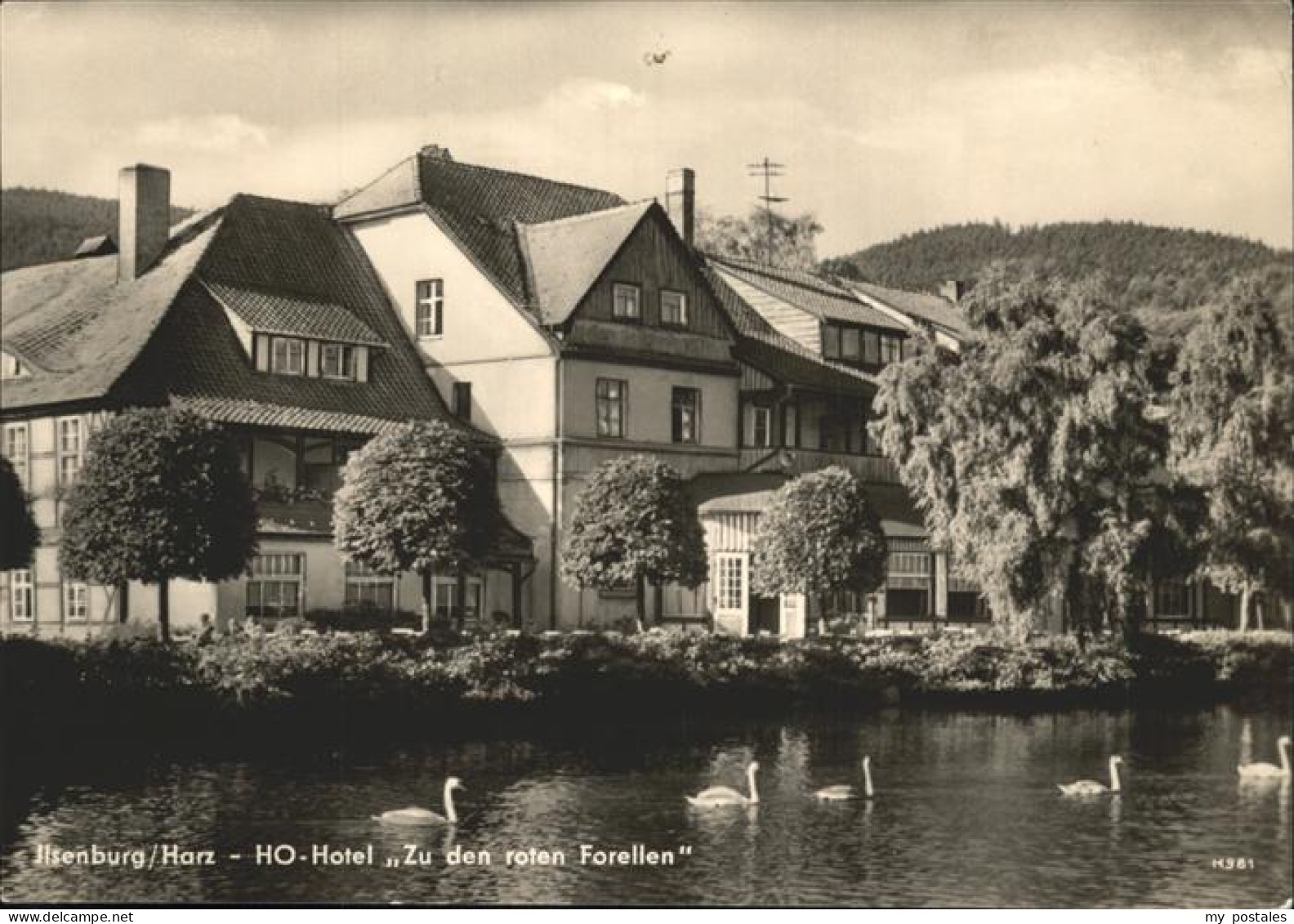 41270211 Ilsenburg Harz HO Hotel Zu Den Roten Forellen Ilsenburg - Ilsenburg