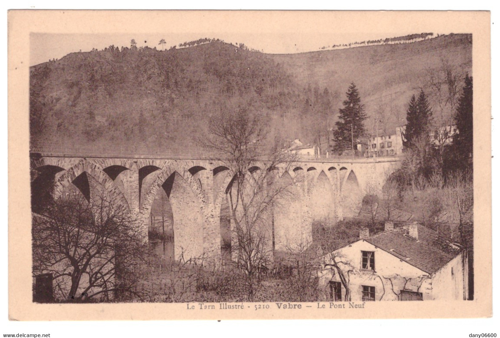 VABRE - Le Pont Neuf  - Vabre