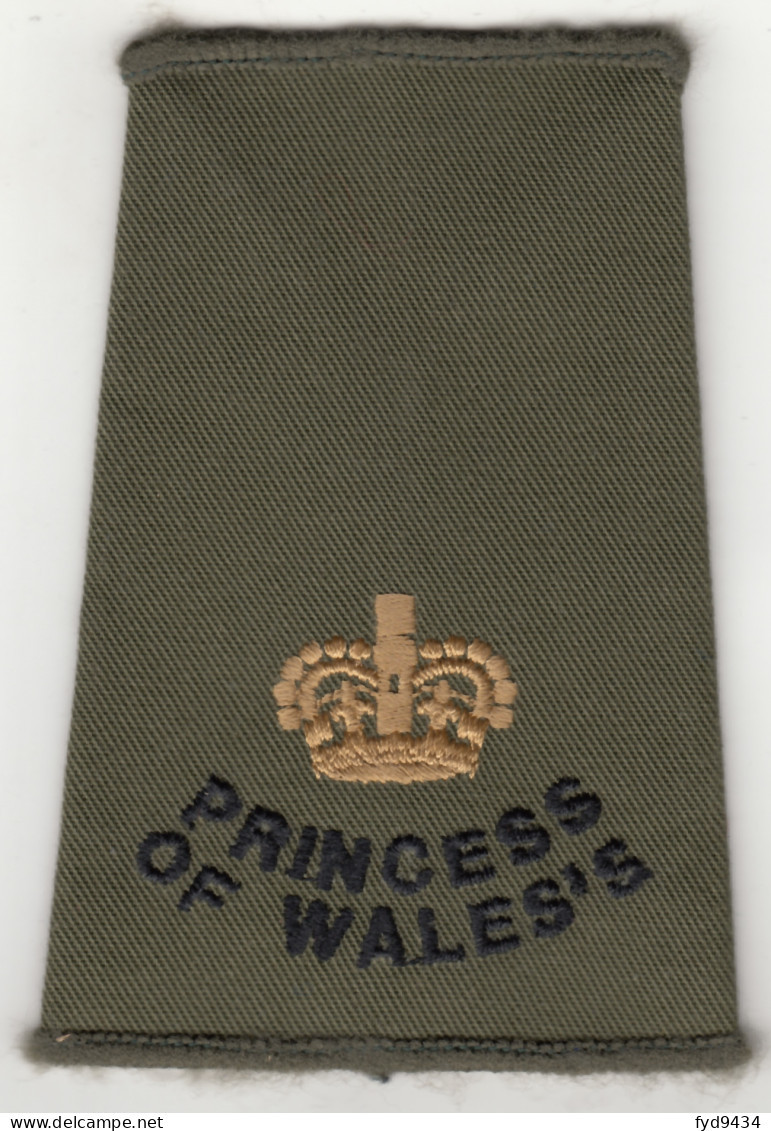Manchons D'Epaulettes Du Princes Of Wales's Royal Regiment - Grande Bretagne - Divise