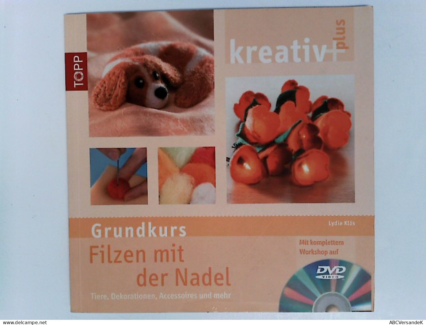 Kreativ Plus Filzen Mit Der Nadel (Grundkurs) - Altri & Non Classificati