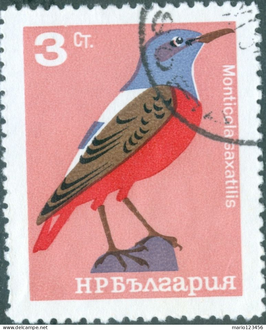 BULGARIA, FAUNA UCCELLI, BIRDS, 1965, FRANCOBOLLI USATI Mi:BG 1531, Scott:BG 1397, Yt:BG 1317 - Gebraucht