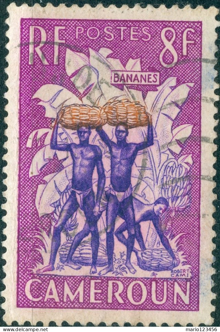 CAMERUN, CAMEROUN, RACCOLTA BANANE, 8 Fr., 1954, FRANCOBOLLI USATI Mi:CM 306, Sott:CM 323, Yt:CM 297 - Usati