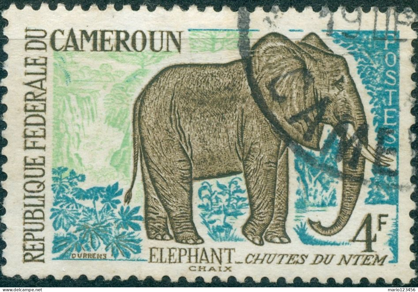 CAMERUN, CAMEROUN, FAUNA, ANIMALI, ELEFANTE,4 Fr., 1962, FRANCOBOLLI USATI Mi:CM 360, Scott:CM 363, Yt:CM 344 - Oblitérés