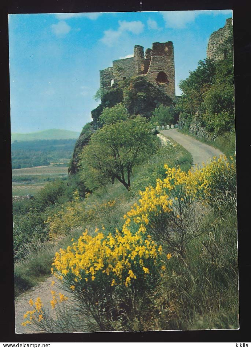 CPSM  / CPM 10.5 X 15 Ardèche ROCHEMAURE Ruines De L'ancien Château Féodal Dominant La Vallée Du Rhône - Rochemaure