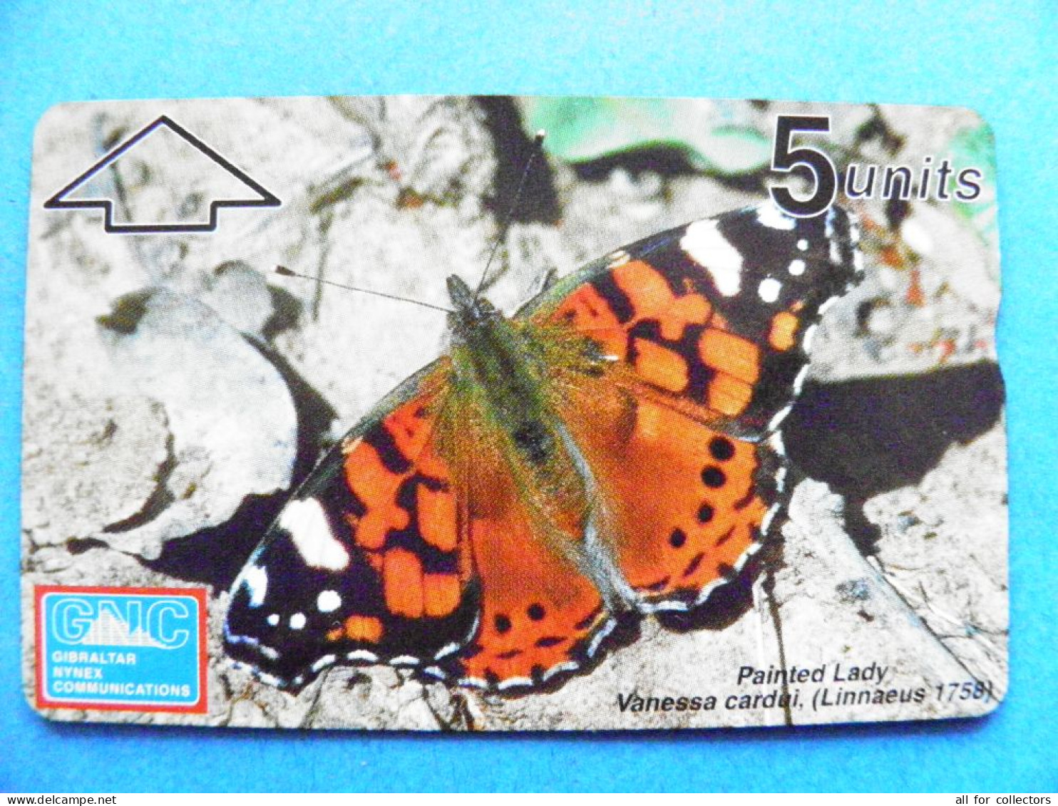 Mint Phonecard Gibraltar Butterflies Animals Insects Butterfly Papillon 5 Units  - Gibilterra