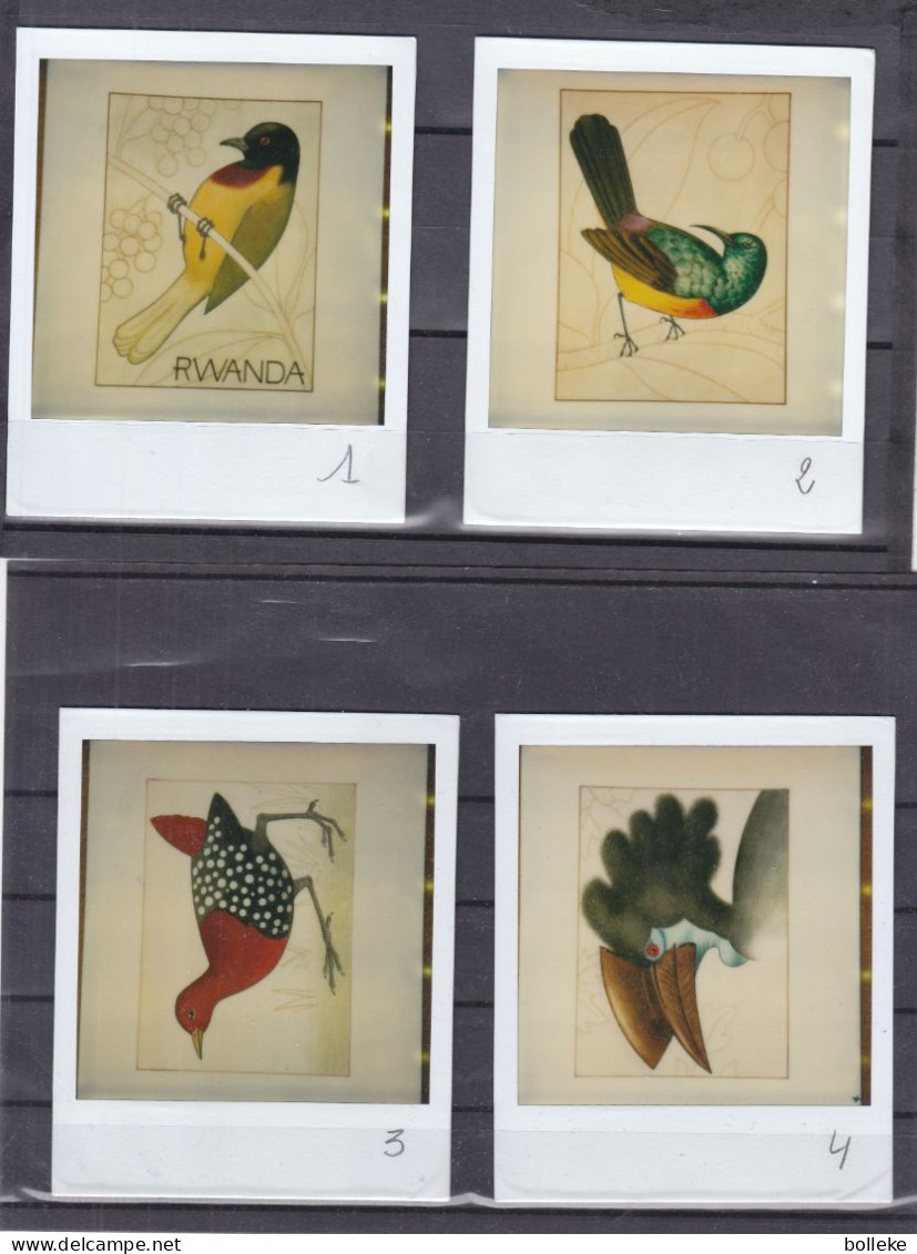 Rwanda - COB 954 / 61 - Photos Palaroid - Sans Indication De Valeur - UNIQUE - Oiseaux - Hiboux - Rapaces - - Unused Stamps