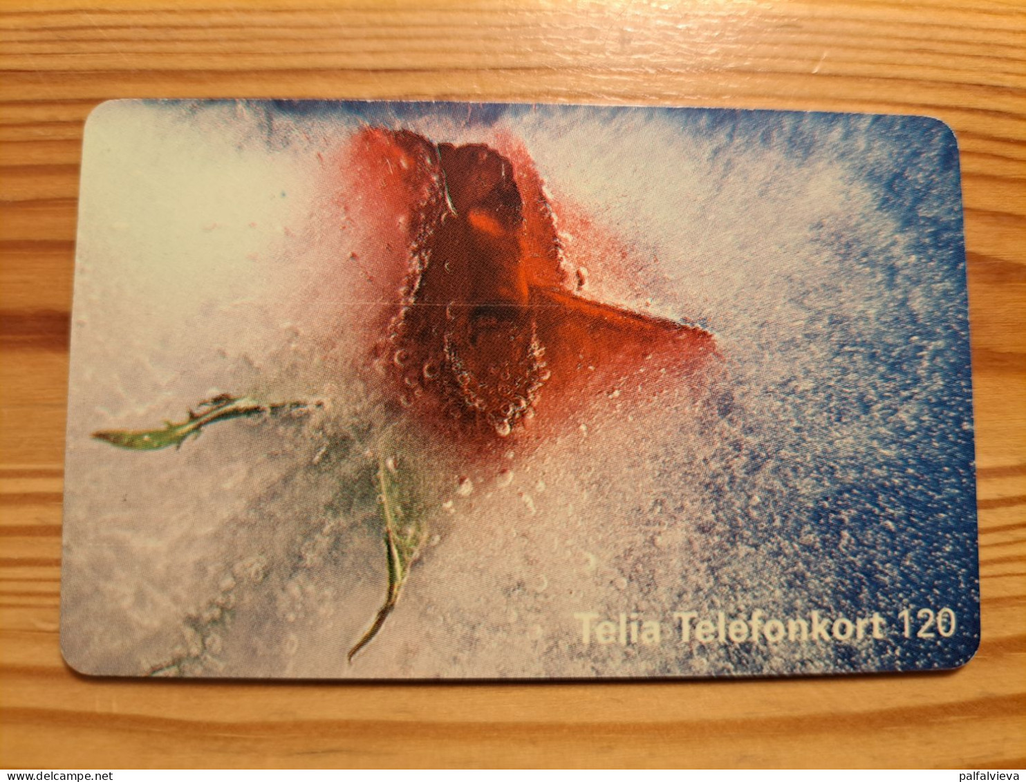 Phonecard Sweden - Flower, Rose - Svezia