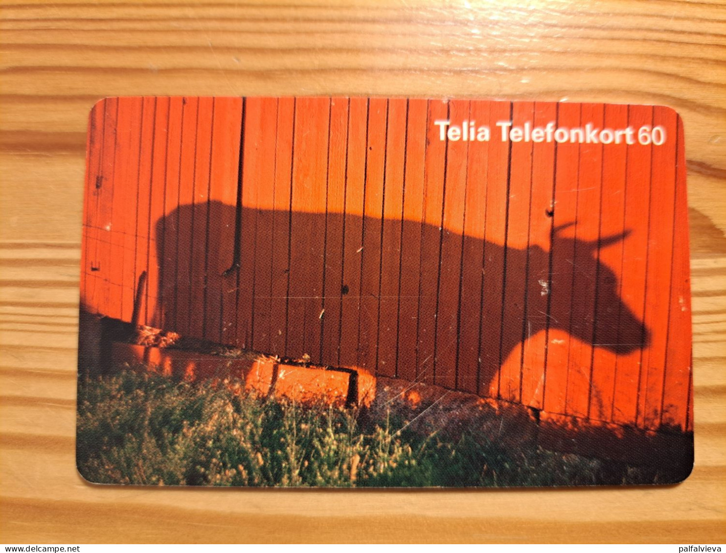 Phonecard Sweden - Cow - Svezia