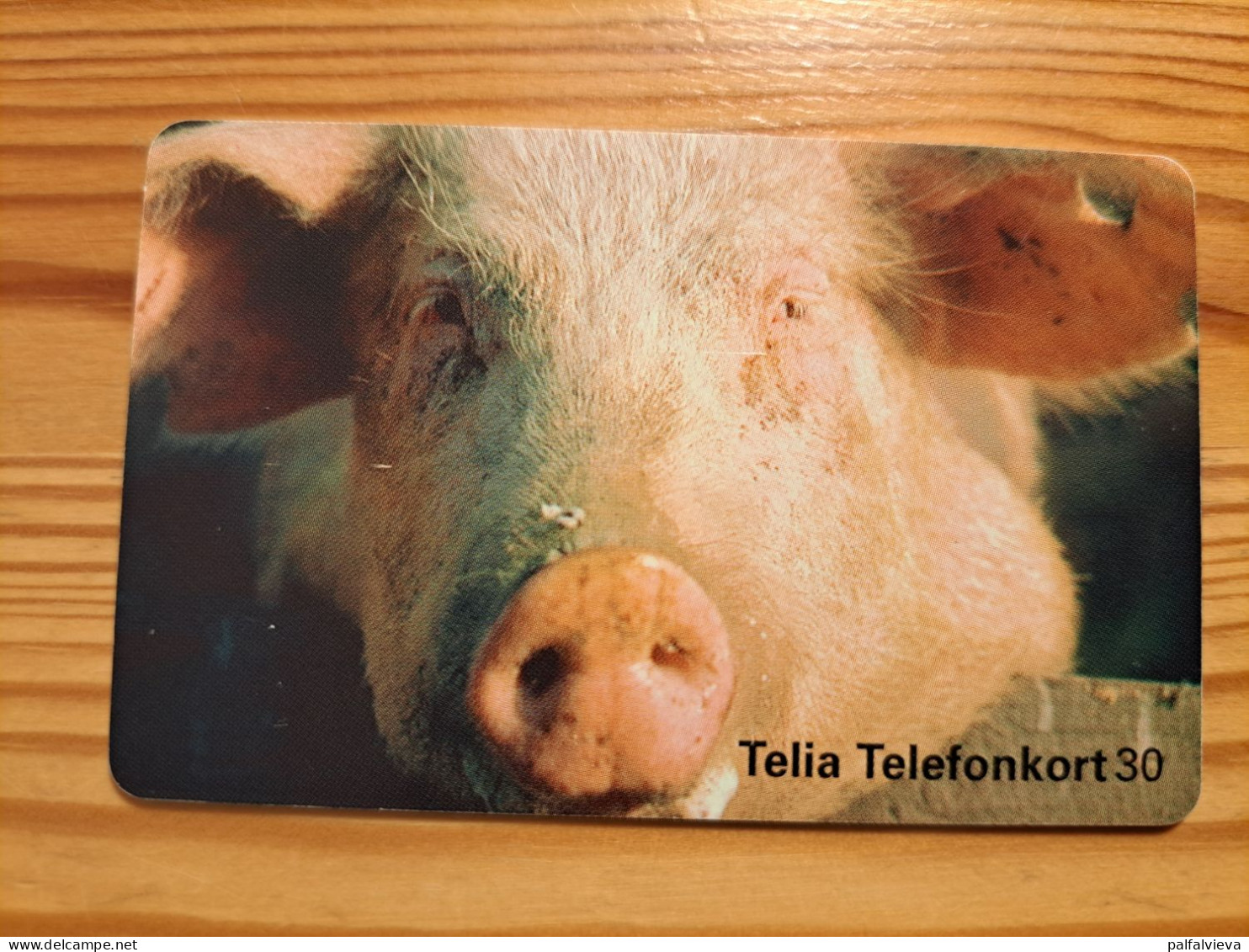 Phonecard Sweden - Pig - Schweden