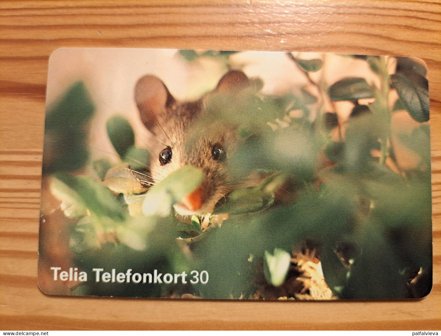 Phonecard Sweden - Mouse - Suède