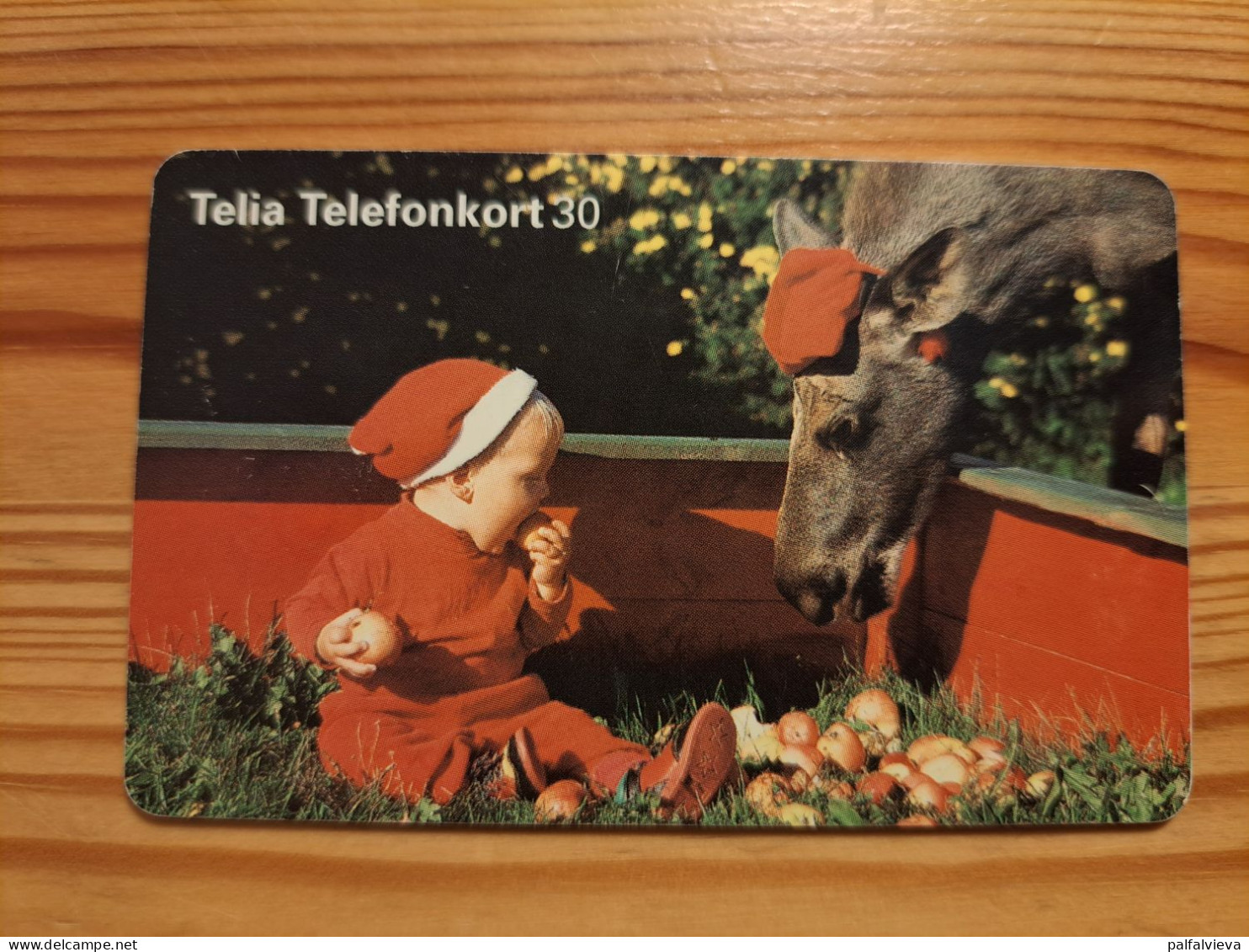 Phonecard Sweden - Donkey, Baby - Schweden