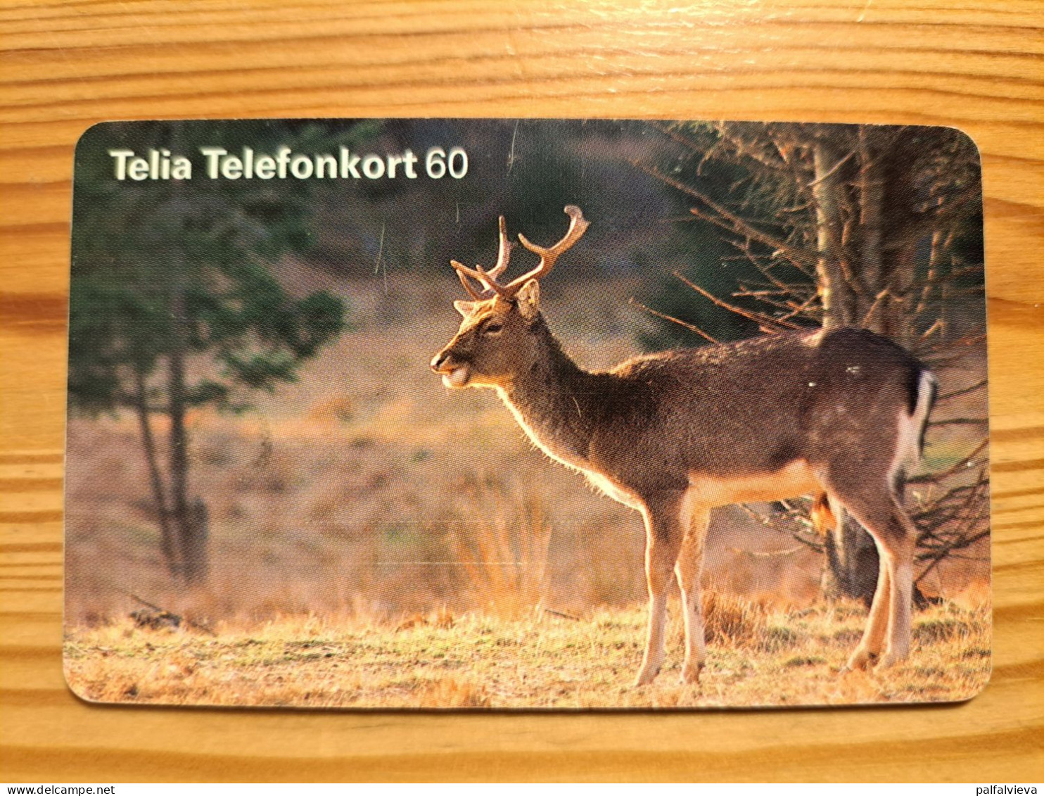 Phonecard Sweden - Deer - Suecia