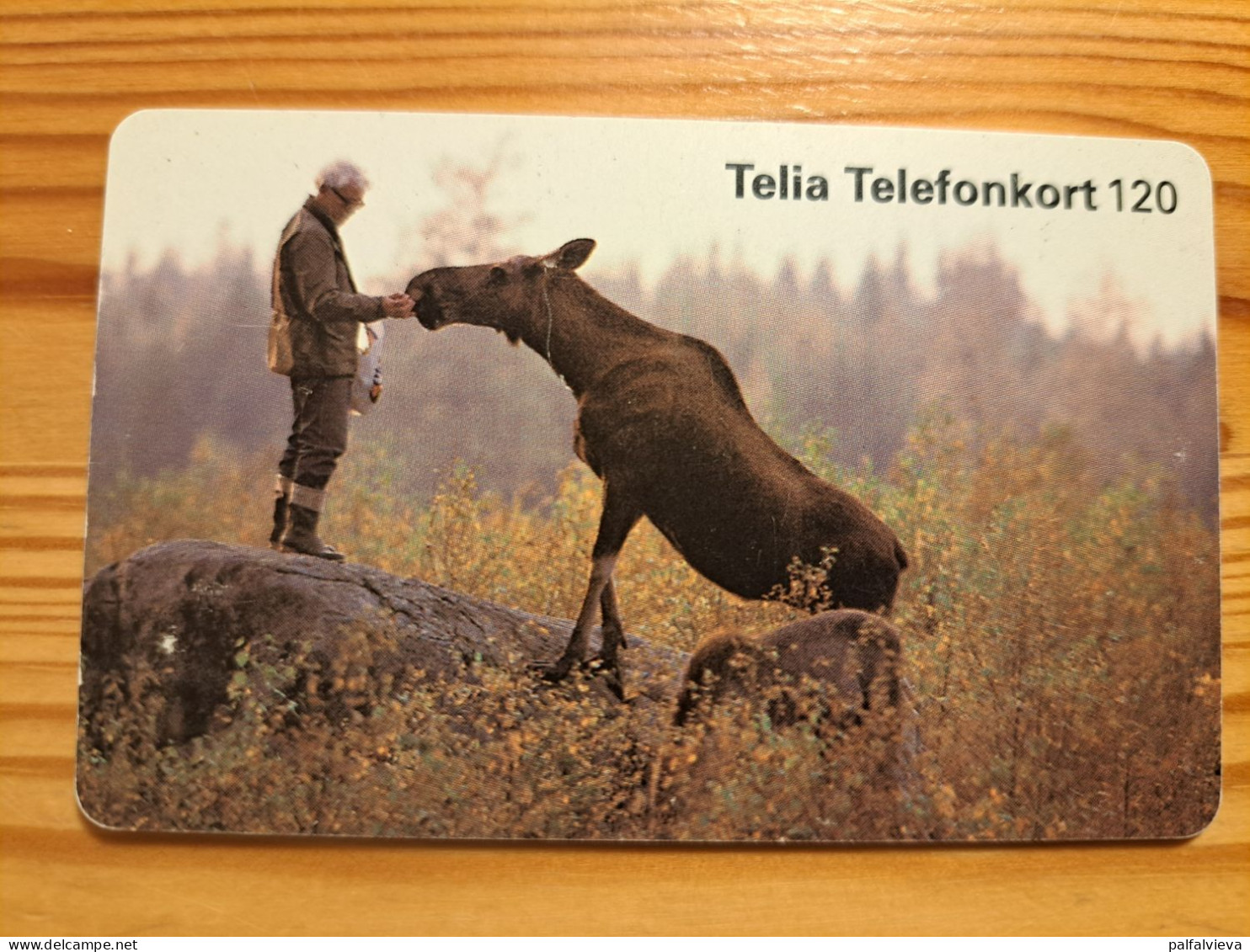 Phonecard Sweden - Horse - Suède