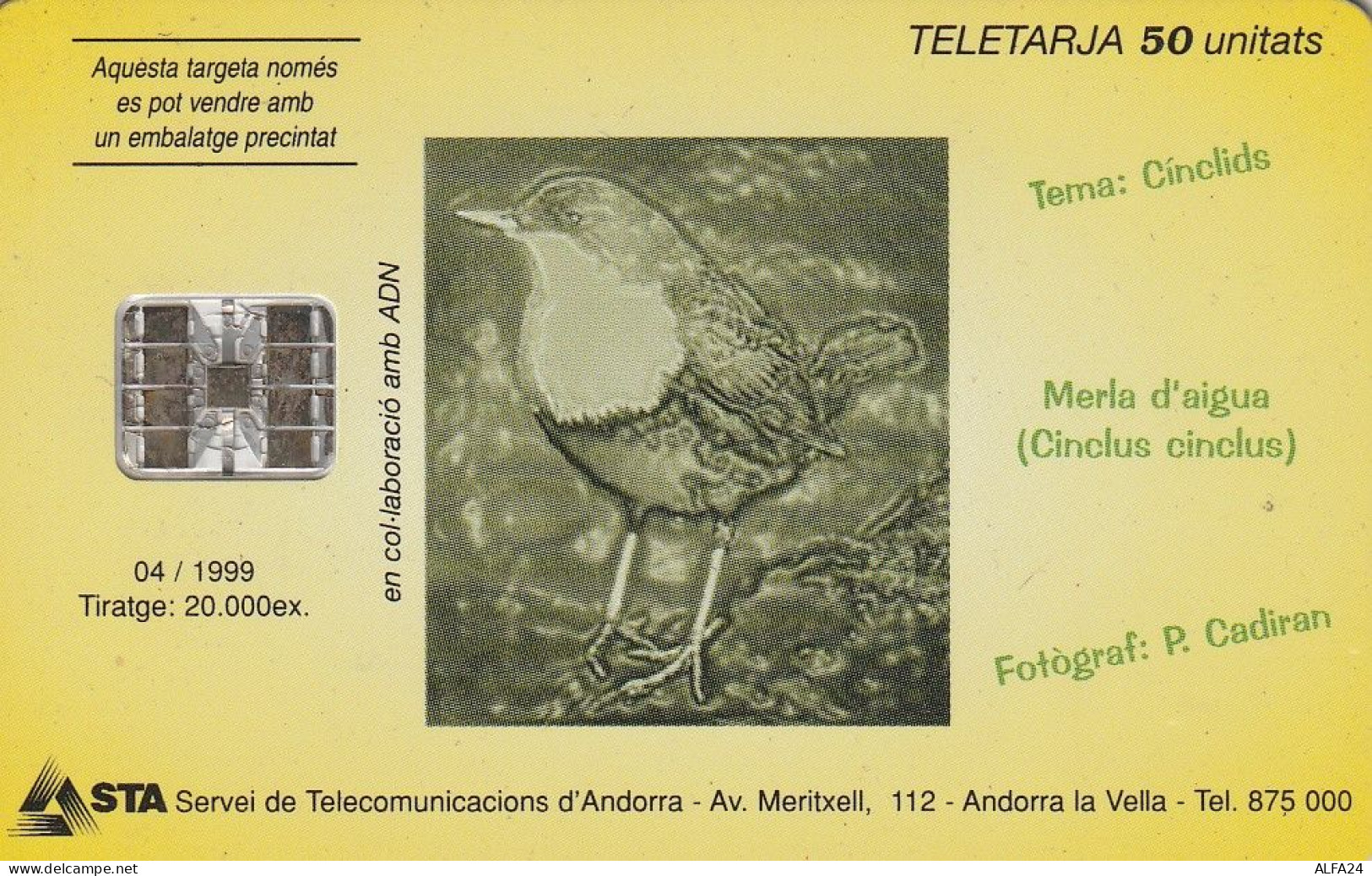 PHONE CARD ANDORRA  (E6.21.3 - Andorre