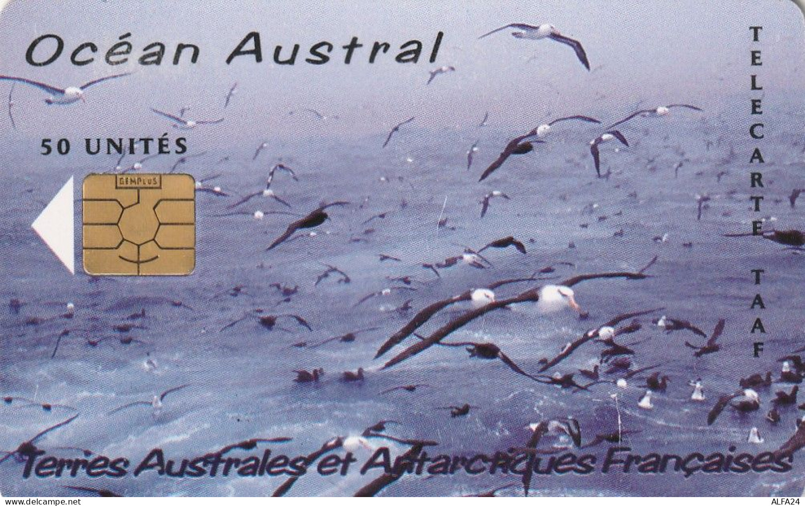 PHONE CARD TAAF  (E7.3.6 - TAAF - Franz. Süd- Und Antarktisgebiete