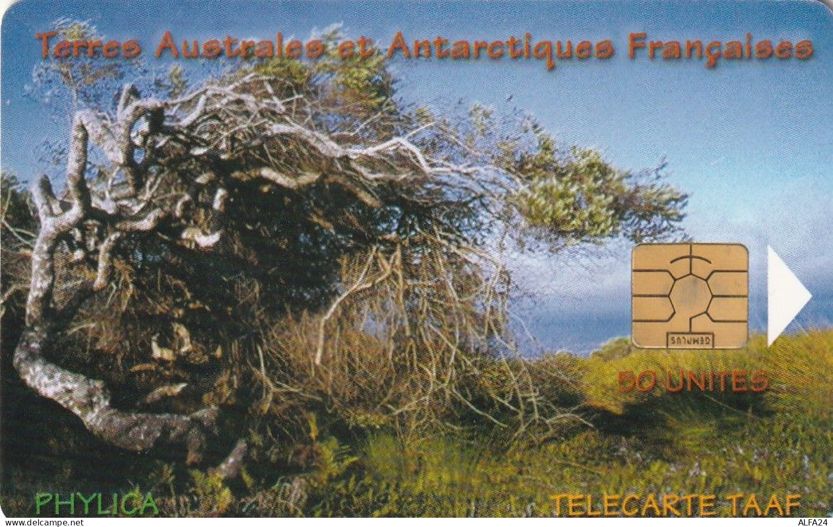 PHONE CARD TAAF  (E7.4.4 - TAAF - Territorios Australes Franceses