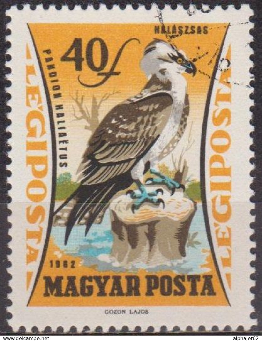 Faune - Oiseau De Proie - HONGRIE - Balbuzard Pecheur - N° 251 - 1962 - Usati