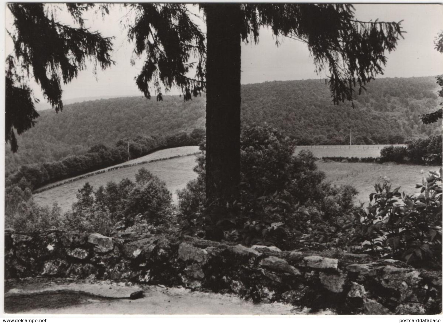 Porcheresse-en-Ardenne - Home Van De Vrede - Daverdisse