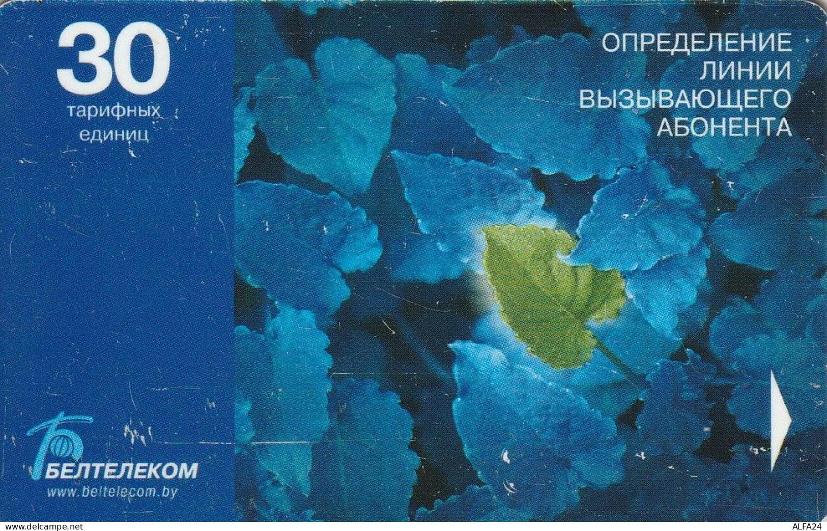 PHONE CARD BIELORUSSIA  (E8.10.3 - Bielorussia