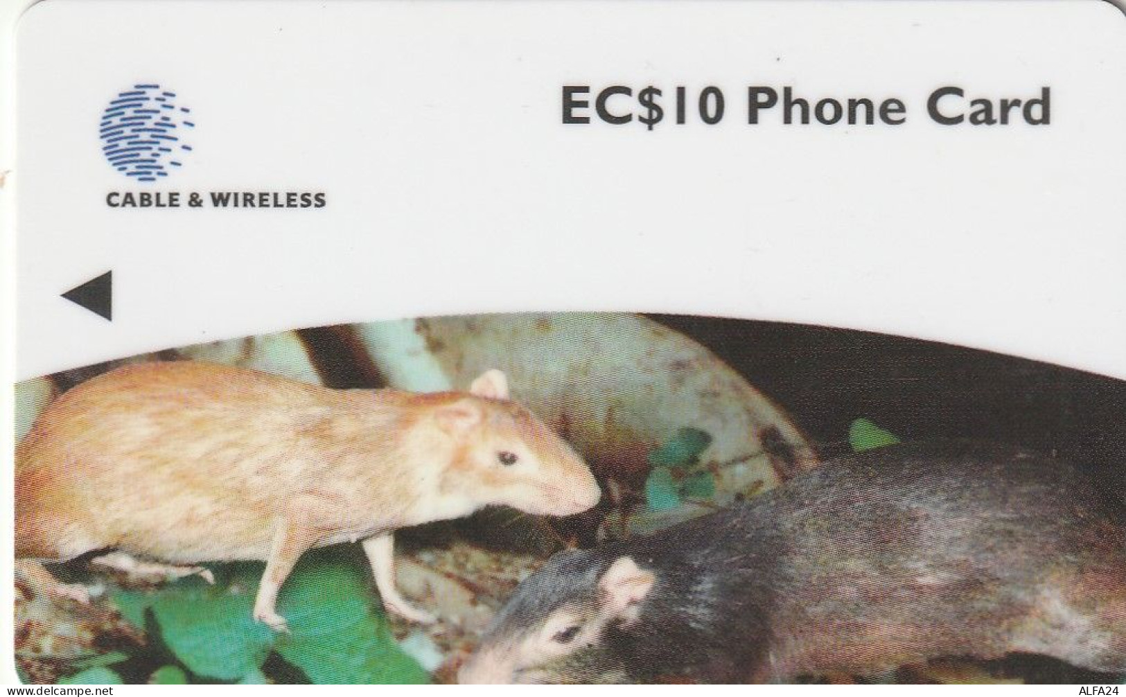 PHONE CARD DOMINICA  (E8.6.2 - Dominique