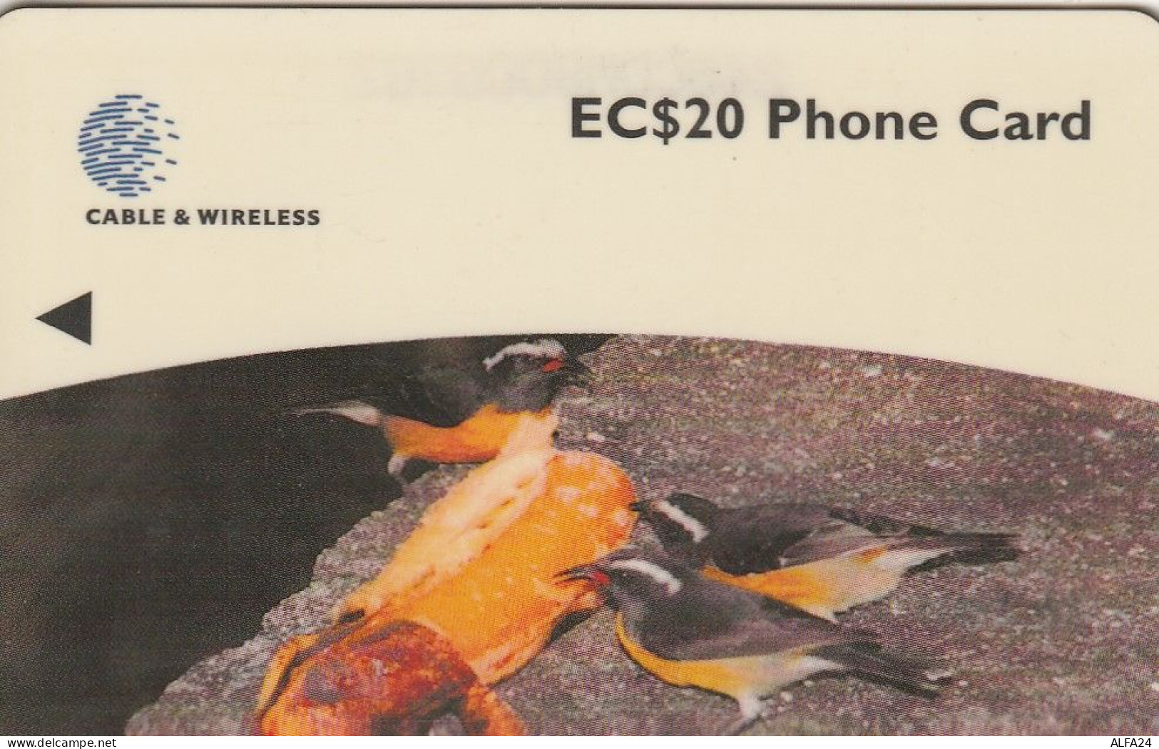 PHONE CARD DOMINICA  (E8.5.5 - Dominique