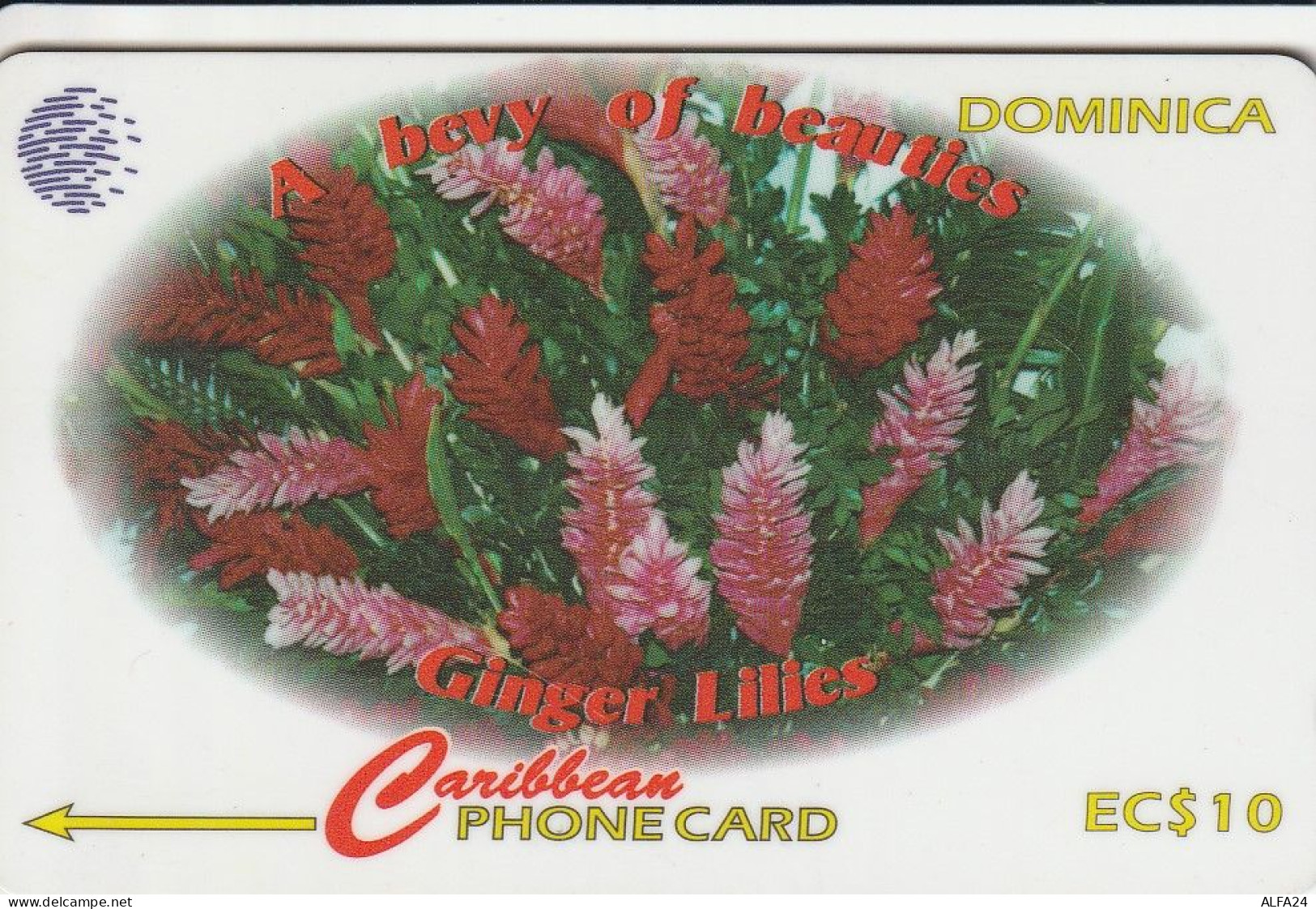 PHONE CARD DOMINICA  (E8.6.1 - Dominica