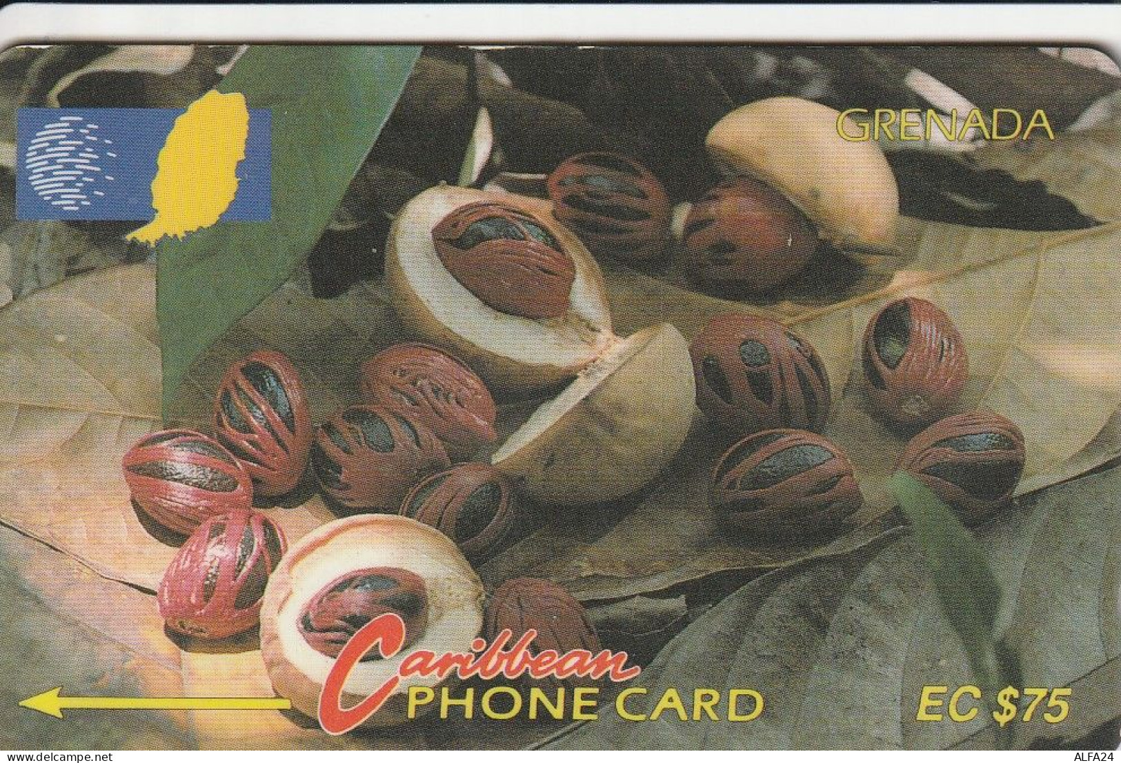 PHONE CARD GRENADA  (E8.5.1 - Grenada