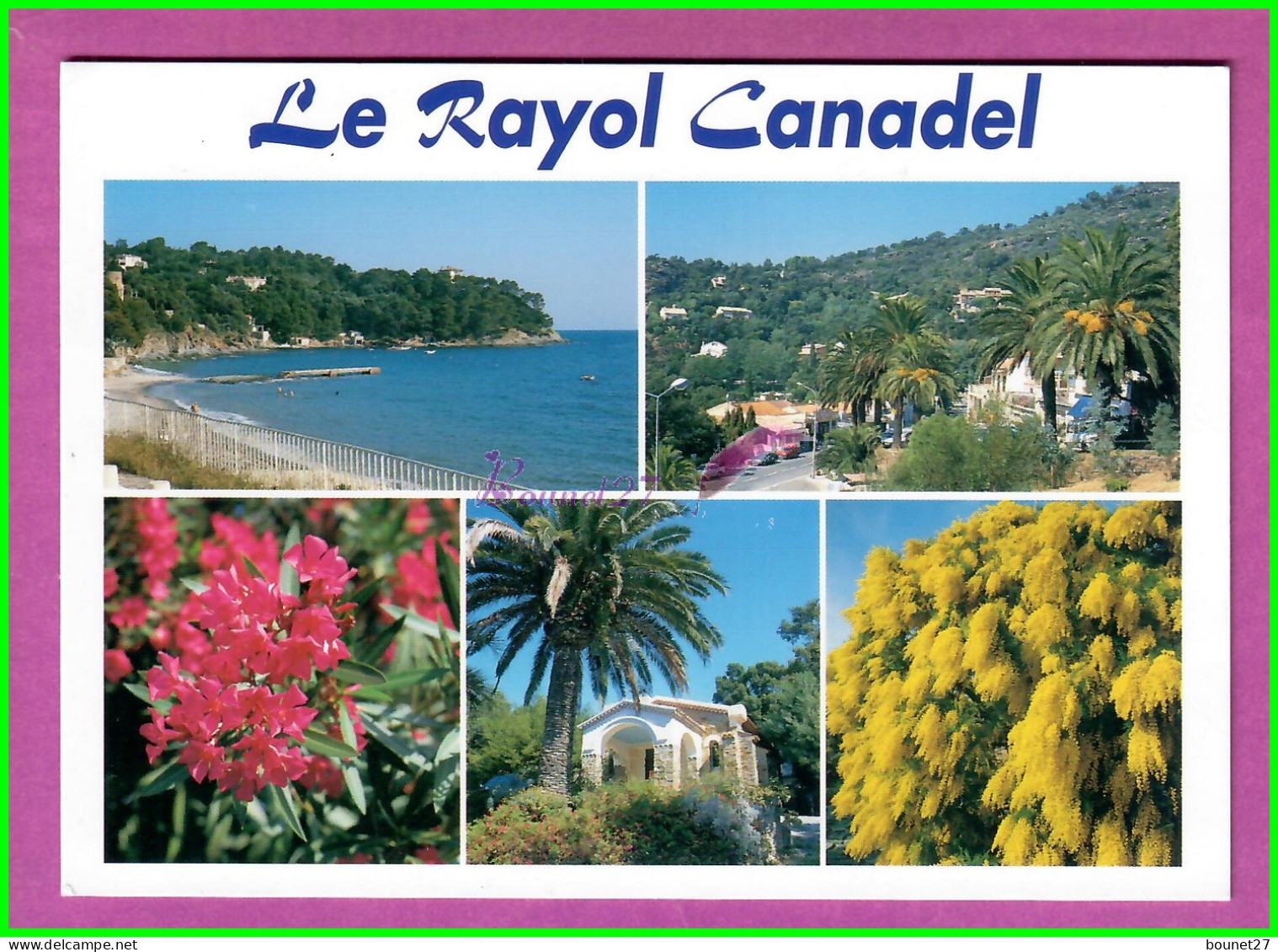 CPM RAYOL CANADEL 83 - Souvenir Le Rayol Vue Du Front De Met Generale Palmier Fleur Rose Arbre Mimosas - Rayol-Canadel-sur-Mer