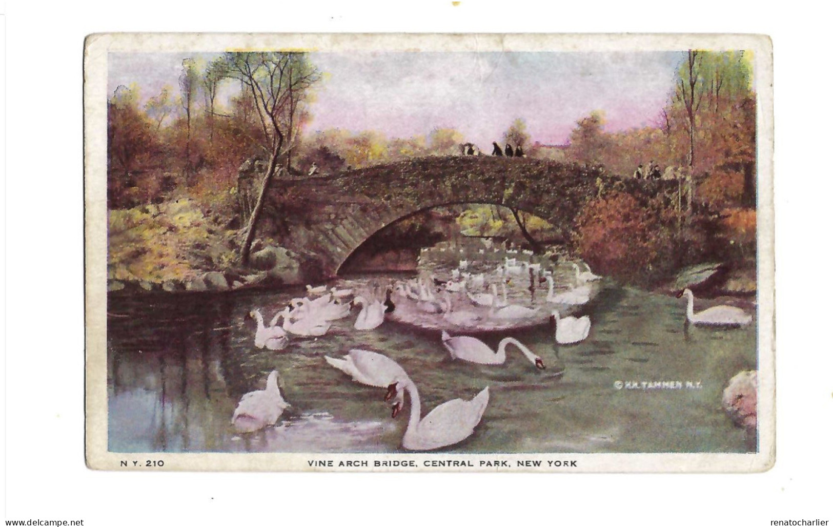 Vine Arch Bridge.Ecrite En 1918. - Central Park