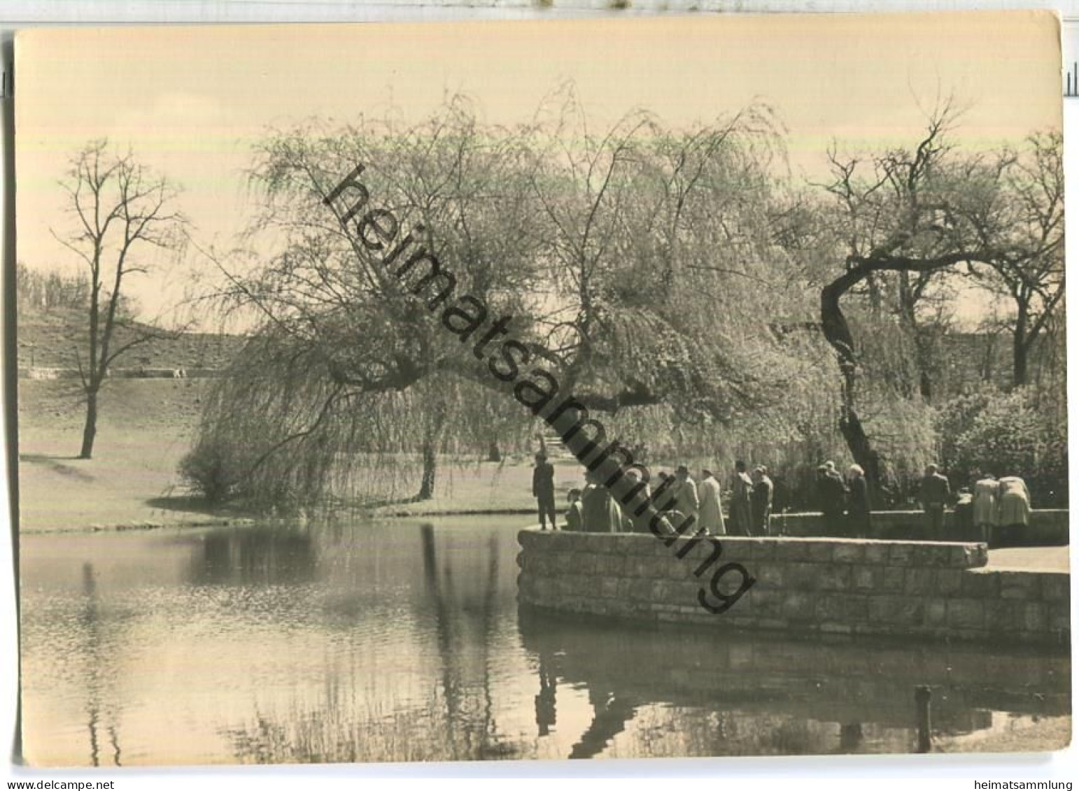 Berlin-Friedrichshain - Goldfischteich Im Friedrichshain - Foto-Ansichtskarte - Verlag VEB Postkarten-Verlag Berlin - Friedrichshain