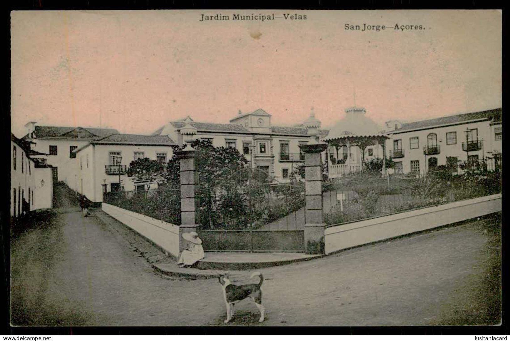 SÃO JORGE  - VELAS - Jardim Municipal.  Carte Postale - Açores