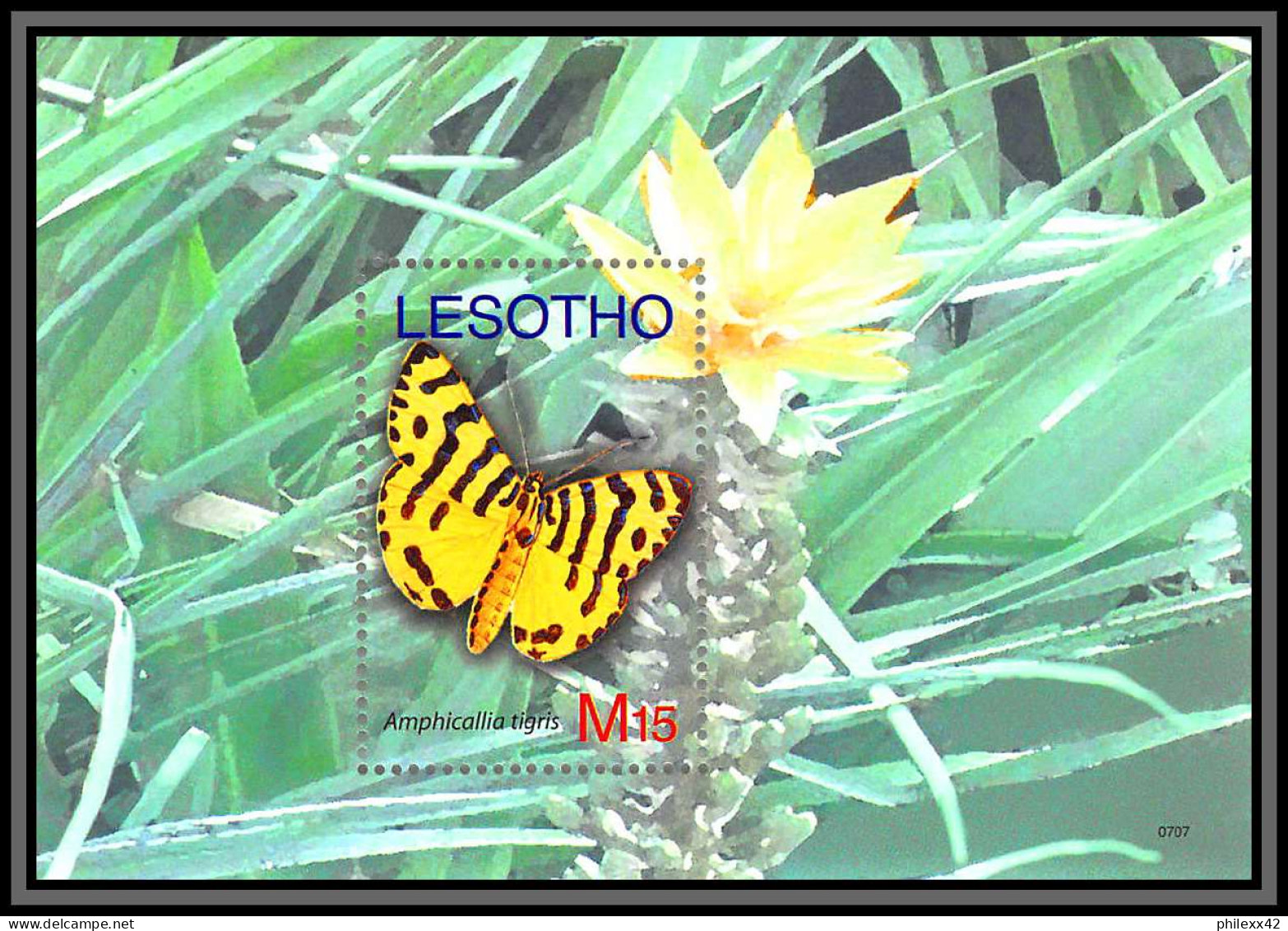 80750 Lesotho Mi 208/209 TB Neuf ** MNH Papillons Butterflies Schmetterlinge Amphicallia Tigris 2007 - Lesotho (1966-...)