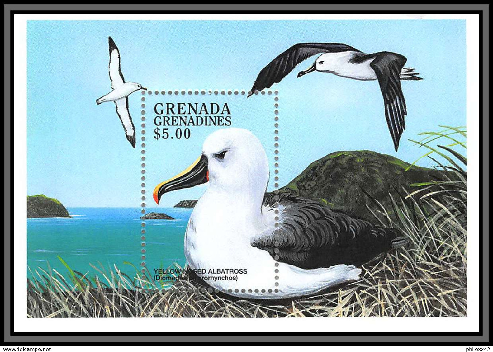 80810 Grenada Grenadines YT N°415 TB Neuf ** MNH Oiseaux Birds Bird Albatros 1998 - Albatro & Uccelli Marini