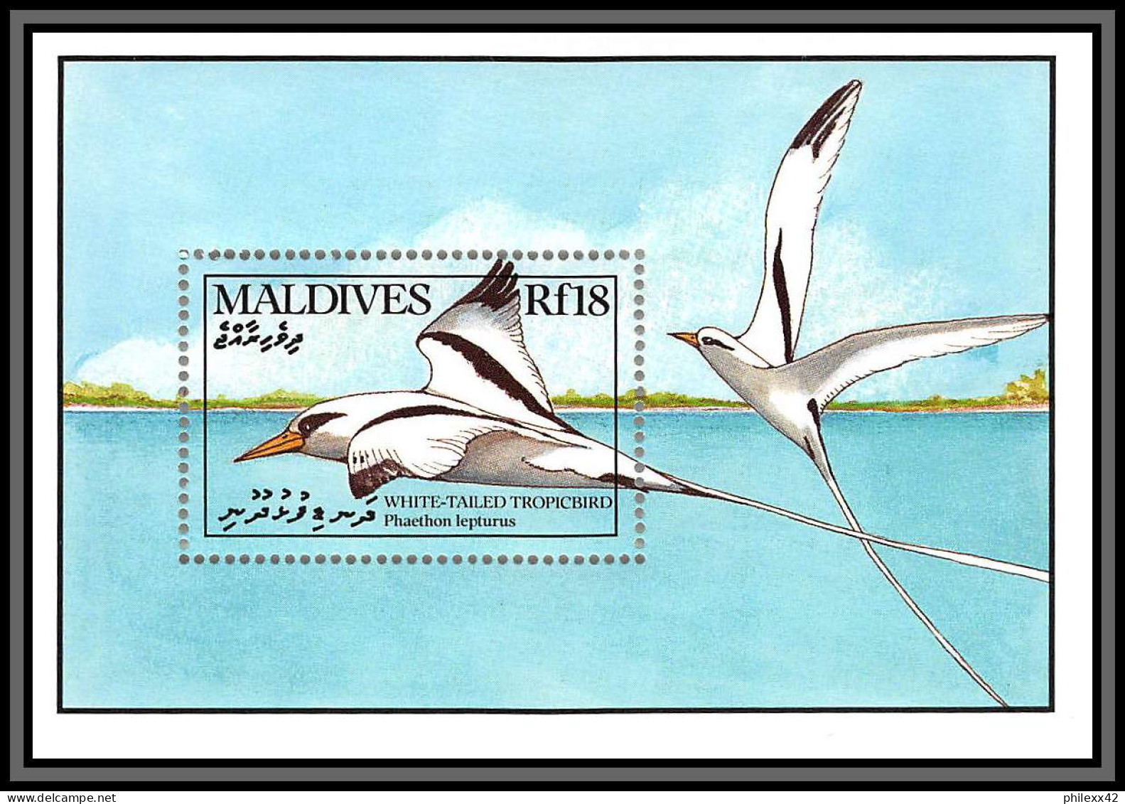 80836 Maldives Mi N°171 TB Neuf ** MNH Oiseaux Birds Bird White Tailed Tropicbird Phaéton 1990 Phaethontidae - Konvolute & Serien