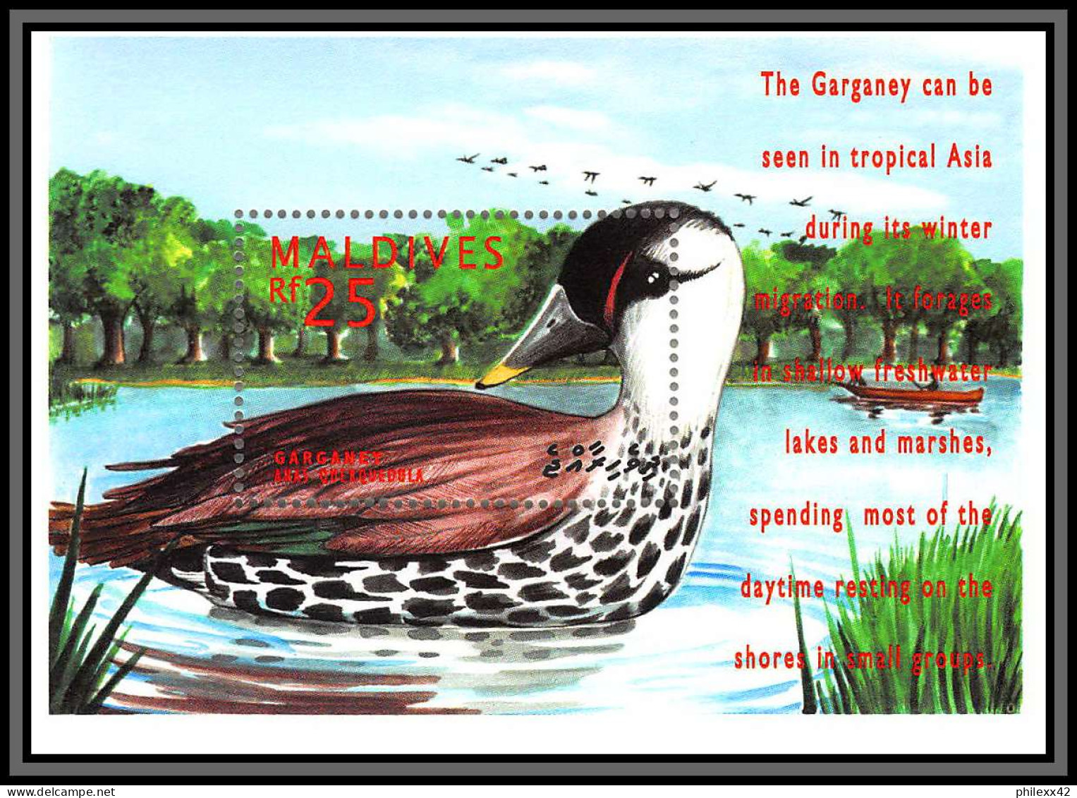 80837 Maldives Mi N°323 TB Neuf ** MNH Oiseaux Birds Bird Garganey Sarcelle Canard Duck 1995 - Eenden