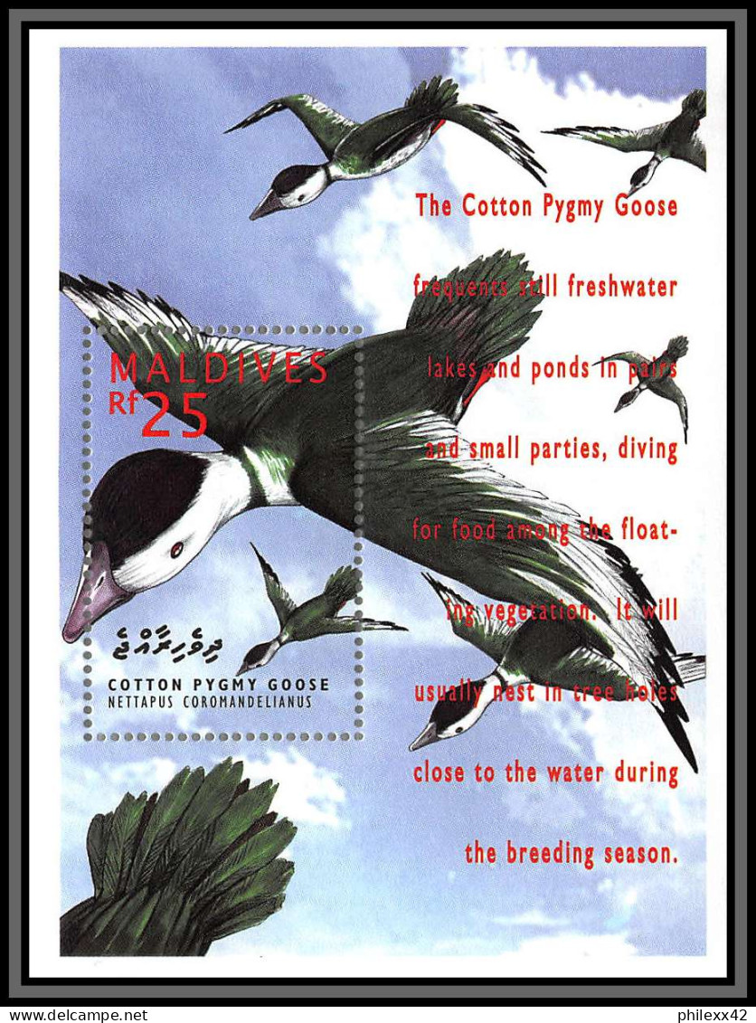 80838 Maldives Mi N°324 TB Neuf ** MNH Oiseaux Birds Bird Cotton Pygmy Goose Anserelle 1995 - Gallinacées & Faisans