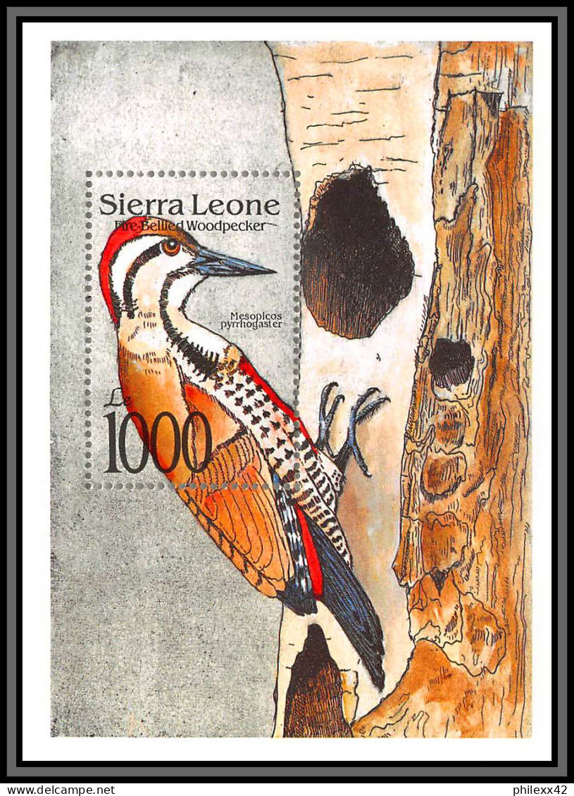 80840 Sierra Leone Mi N°196 TB Neuf ** MNH Oiseaux Birds Bird Fire-bellied Woodpecker Pic à Ventre De Feu 1992 - Collezioni & Lotti