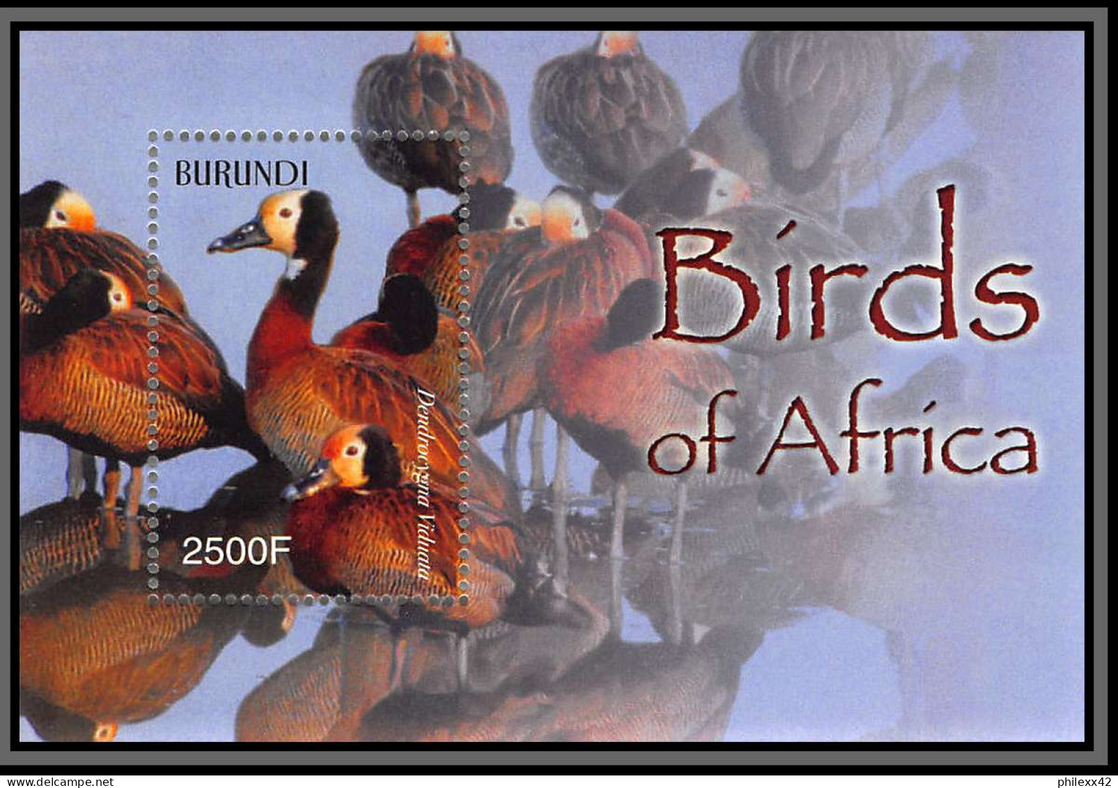 80857 Burundi Mi N°145 A Dendrocygna Dendrocygne Canard Duck ** MNH Oiseaux Birds Of Africa 2004 - Nuovi