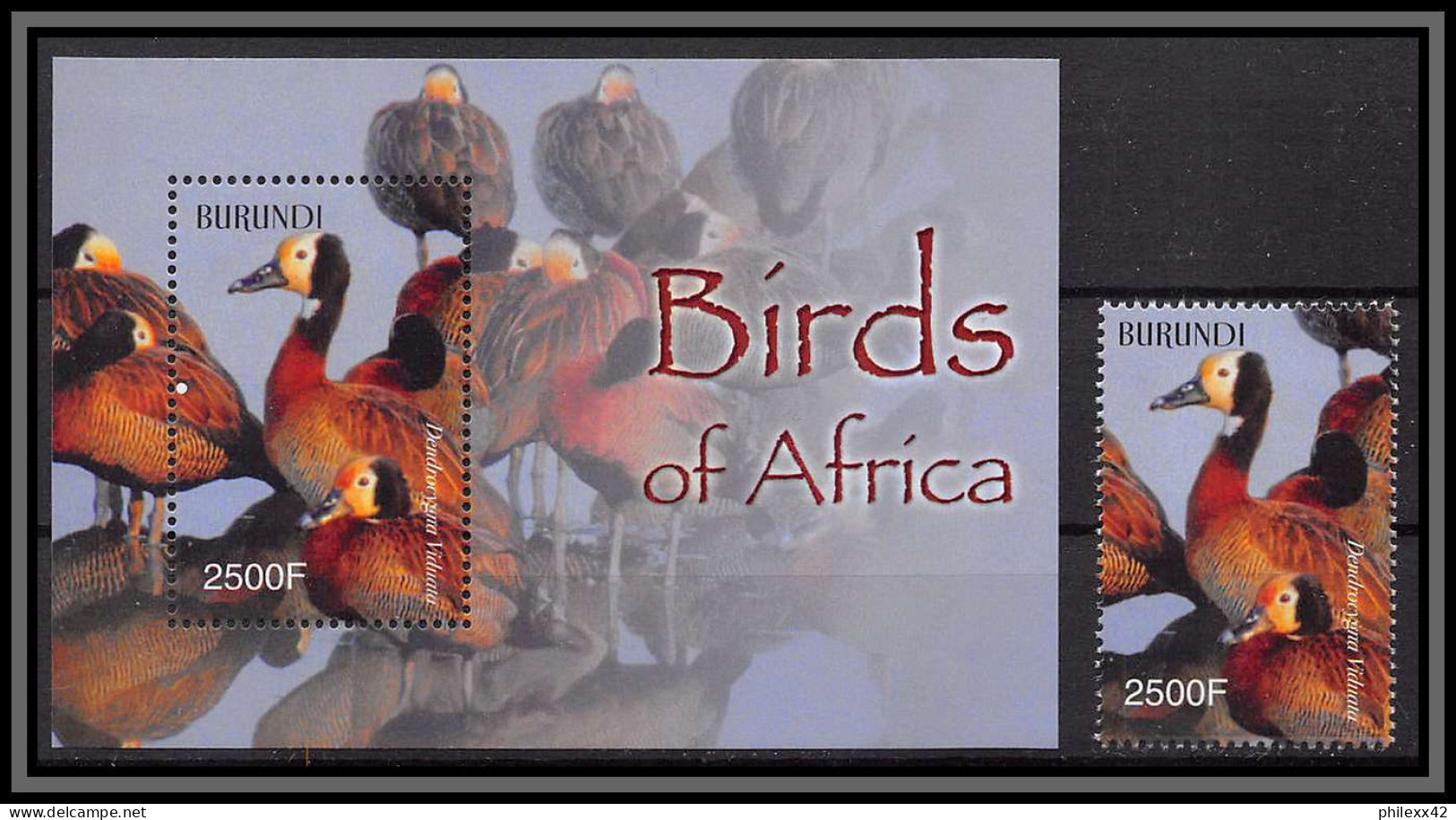 80857b Burundi Mi N°145 A + Timbre Dendrocygna Dendrocygne Canard Duck ** MNH Oiseaux Birds Of Africa 2004 - Ungebraucht