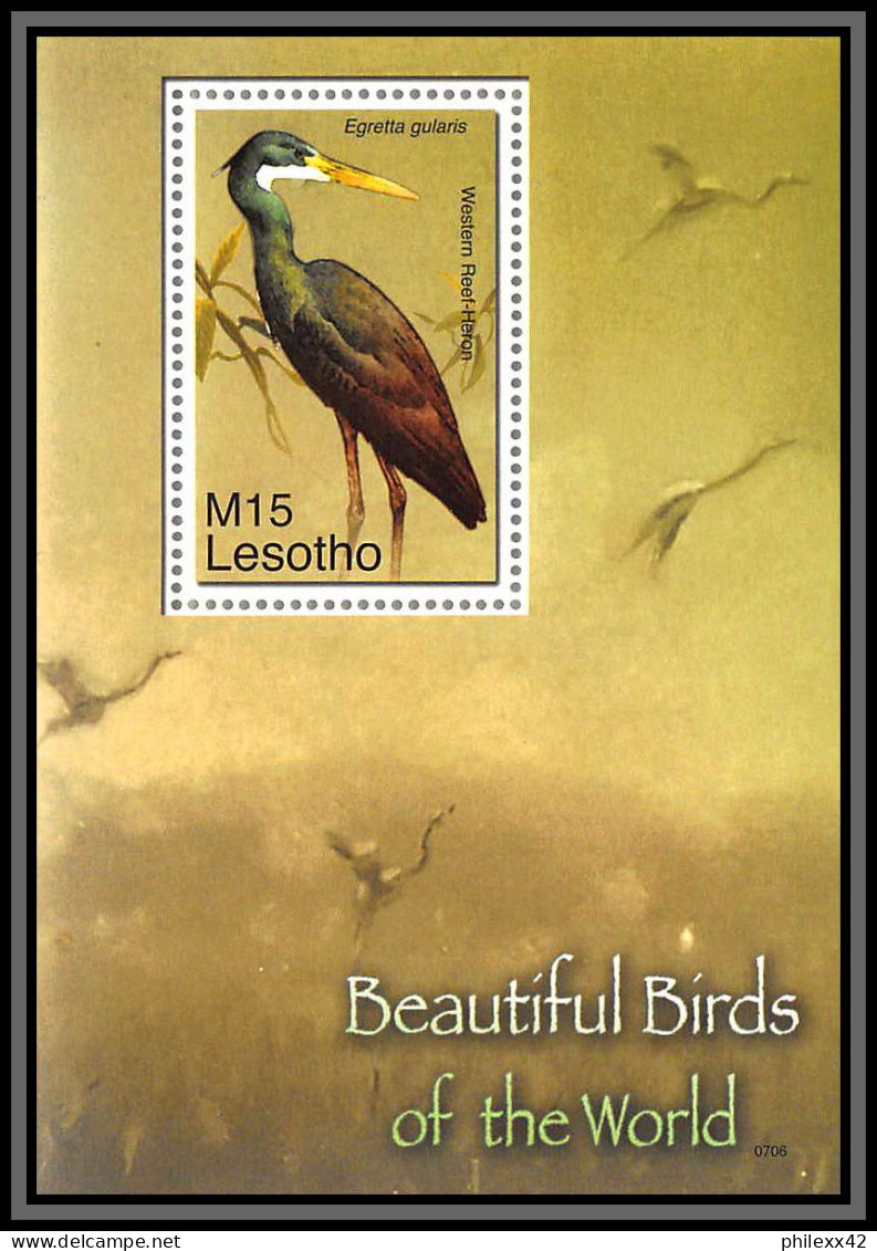 80858 Lesotho Mi N°213 Aigrette Des Récifs Egretta Gularis Western Reef Heron ** MNH Oiseaux Birds Of The World 2007 - Picotenazas & Aves Zancudas